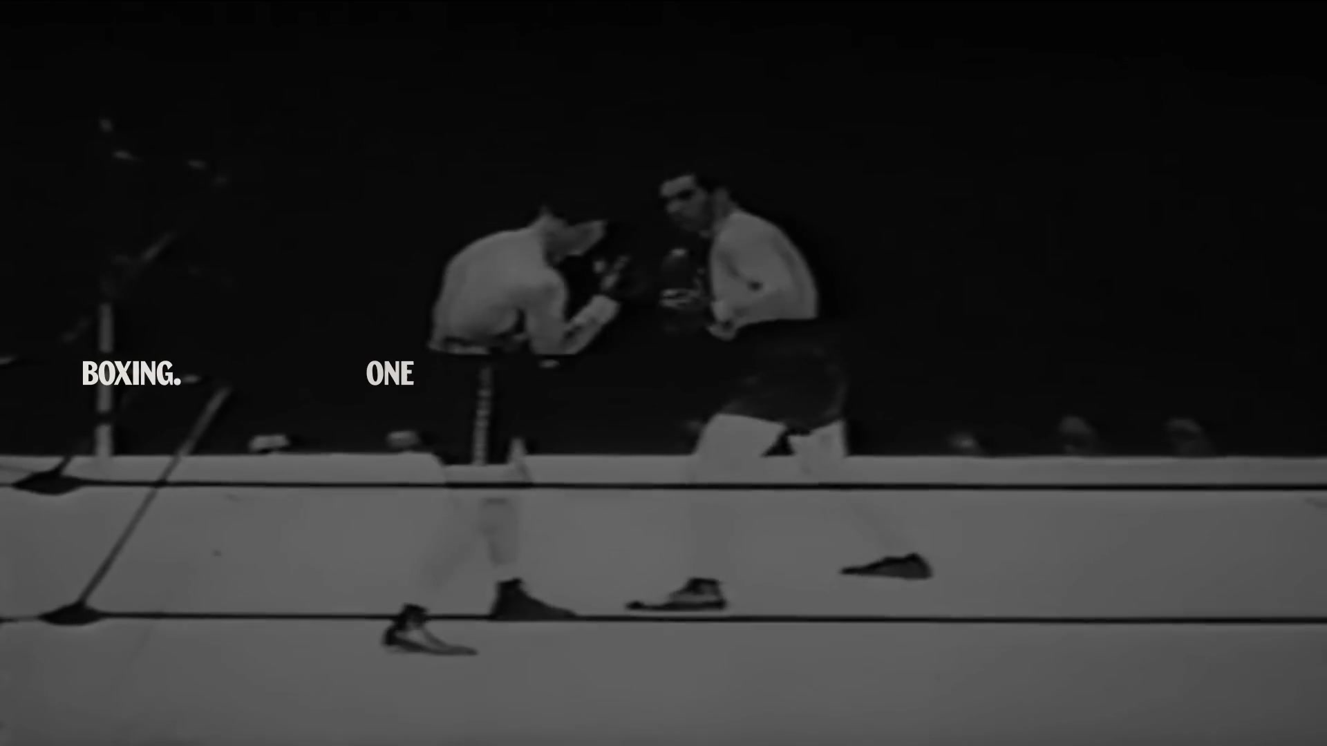 Spaten Night Fight